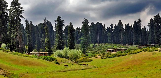 yusmarg