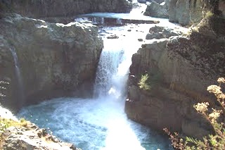 aharbal